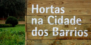 featuredhorta