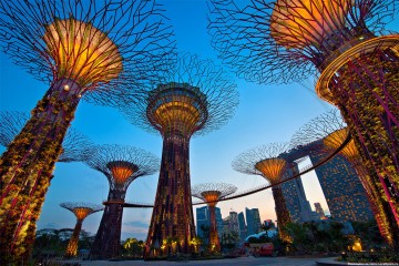 Gardens by the bay