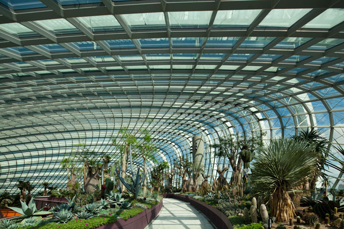 Gardens by the bay