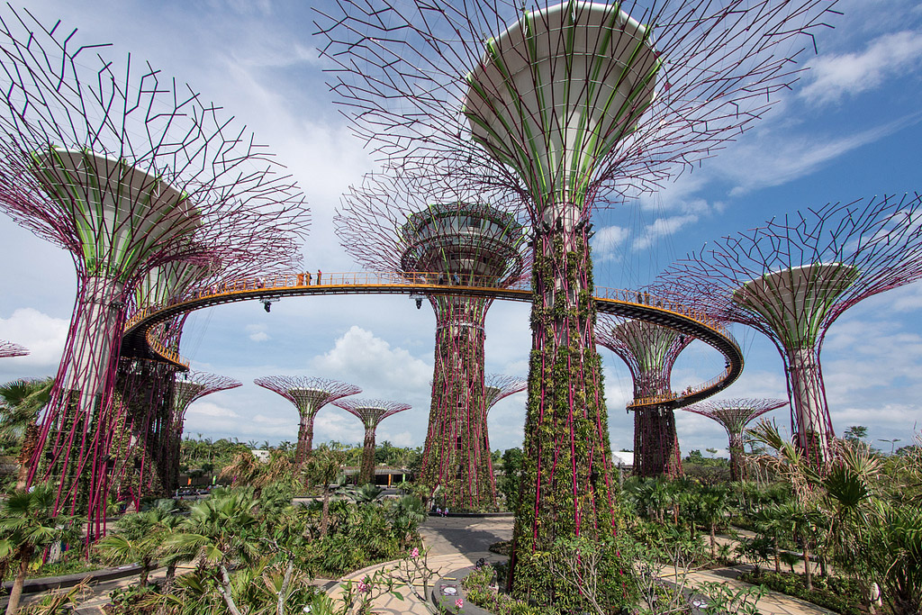 Gardens by the bay dia arbol